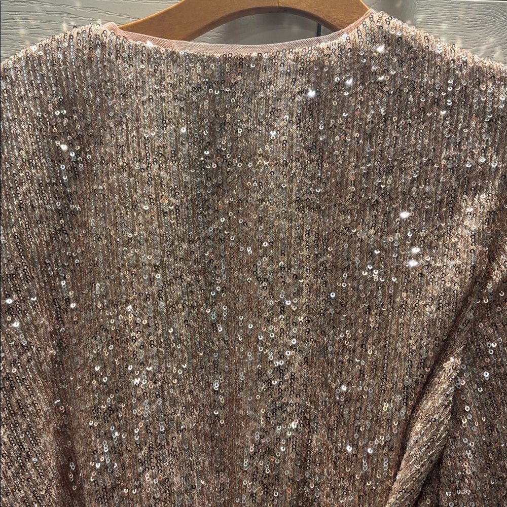 Endless Rose Sequin Blouse in Gold - Picture 5 of 7